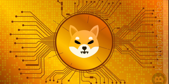 Shiba metaverse, rocket pond, shiba rocket, shiba rocket pond, shiba inu - Kripto Para Haber