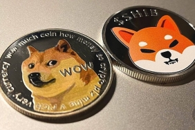 Ünlü analist, Meme coinler hakkında endişeli!