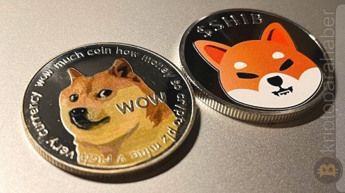 Ünlü kripto analisti yeni Meme Coin projelerinin geçerliliğini sorguluyor!