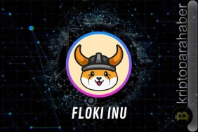 Floki Inu