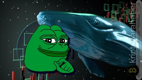 PEPE coin çılgınlığı zirvede olabilir: işte nedeni?