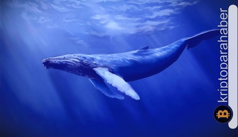 Kripto balinasından büyük ARB hareketliliği: Milyonlarca dolarlık işlemin fiyata etkisi büyük oldu!