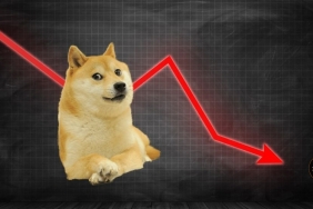 Dogecoin için boğa mı ayı mı bekleniyor?