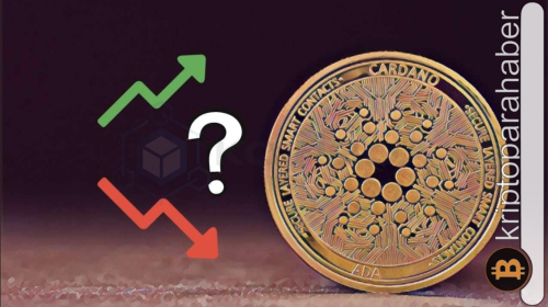 Cardano fiyat düşüşüne rağmen balina aktivitesi artıyor! İşte olası fiyat hedefleri