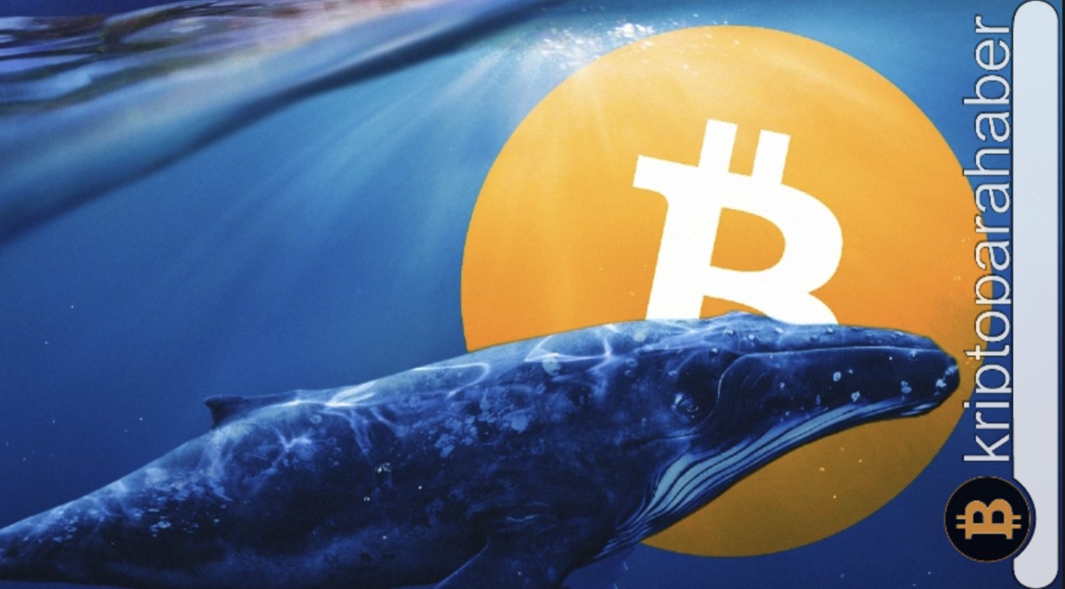 Bitcoin fiyatında balina etkisi: Varlık 27.000 dolar seviyesinde tutunabilecek mi?