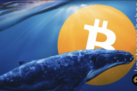 Bitcoin fiyatında balina etkisi: Varlık 27.000 dolar seviyesinde tutunabilecek mi?