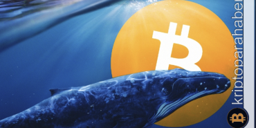 Bitcoin fiyatında balina etkisi: Varlık 27.000 dolar seviyesinde tutunabilecek mi?