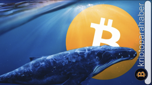 Bitcoin fiyatında balina etkisi: Varlık 27.000 dolar seviyesinde tutunabilecek mi?