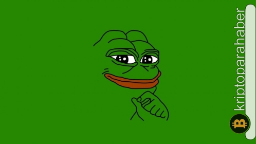 PEPE popülerliğini gün geçtikçe artırırken piyasa değeri 1 milyar dolara yaklaştı!