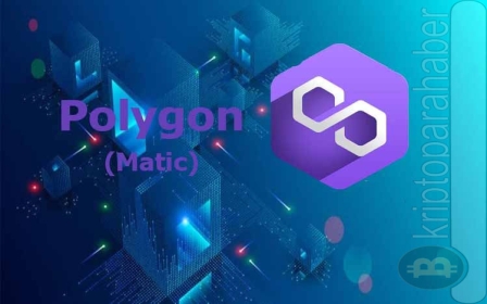 Polygon Bridge TVL Bir Günde Yüzde 52 Arttı