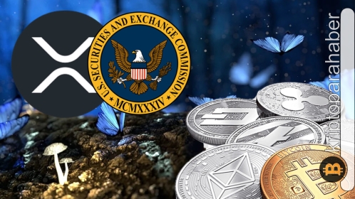 Ripple avukatından sert eleştiri: SEC ile olan davada ortalık kızışmaya devam ediyor