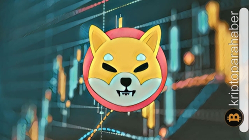 Shiba Inu yatırımcılarını düşündüren gelişme: Shytoshi Kusama ne söylemeye çalışıyor?