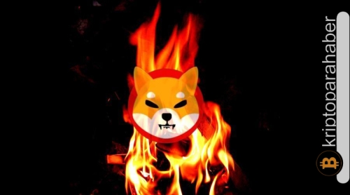 Shiba Inu yakma oranı 0’a sabitlendi! Yatırımcılar endişelenmeli mi?