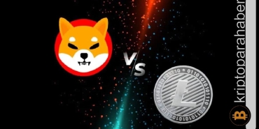 Shiba Inu 6 ayın en düşük seviyesine yaklaşırken Litecoin değer kaybetmeye devam ediyor!