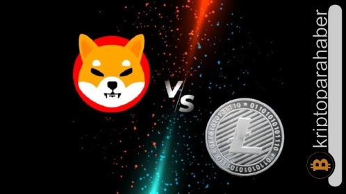 Shiba Inu 6 ayın en düşük seviyesine yaklaşırken Litecoin değer kaybetmeye devam ediyor!