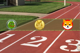 PEPE floki ve dogeyi domine ediyor!