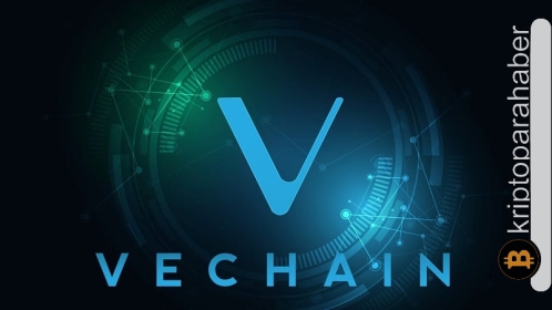 Kritik destek kaybedildi: VET fiyatı için sıradaki hareket toparlanma mı düşüş mü olacak?