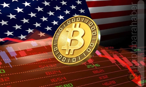 Bitcoin’in Roller Coaster Yolculuğu Hareketliliğin Ardından Direnç Gösteriyor