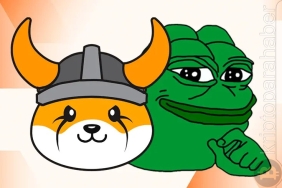 Floki Inu fiyat tahmini, floki iınu artış, floki artışı, floki tahmini, floki ve pepe