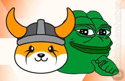 Binance’den müjdeli haber: PEPE ve FLOKI  yeni ödünç verilebilir varlıklar listesinde kendilerine yer buldu!
