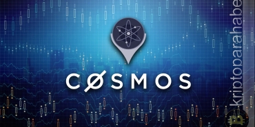 cosmos