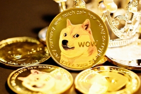 dogecoin