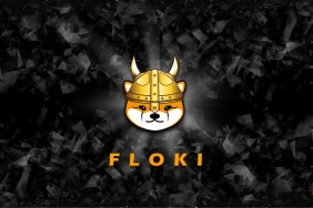 Floki Inu en büyük meme para olabilir mi, floki nasıl alınır, floki dogeyi geçebilir mi, floki coin, floki