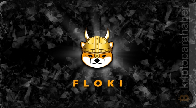 Floki Inu en büyük meme para olabilir mi, floki nasıl alınır, floki dogeyi geçebilir mi, floki coin, floki