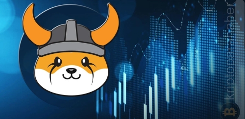 Shiba Inu’nun rakibi olan Floki Inu en büyük Brezilya borsası tarafından listeleniyor!