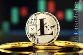litecoin fiyat