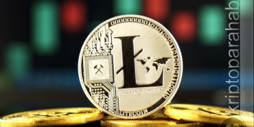 litecoin fiyat