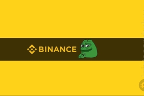 PEPE listeleme, pepe binance, memecoin, pepe token , pepecoin