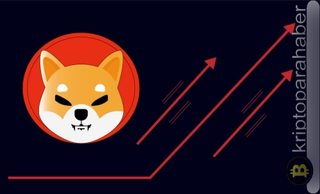 Shiba Inu analizi: Ağ etkinliği zirveye ulaştıkça SHIB’in fiyatı tırmanıyor!