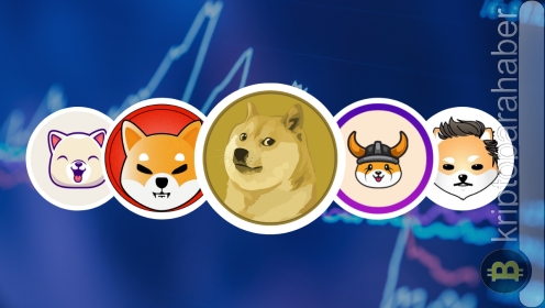 Sonraki 1000X meme coini tespit etmenin sırları