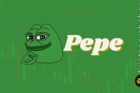 PEPE coin rallisi sona mı erdi? Balinalar düşüşü fırsat olarak değerlendiriyor