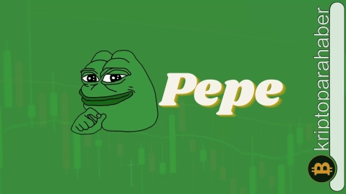 PEPE coin rallisi sona mı erdi? Balinalar düşüşü fırsat olarak değerlendiriyor