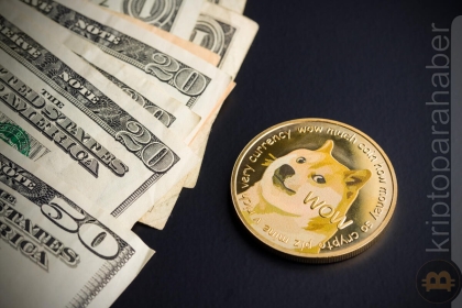 Shiba Inu (SHIB), verilere göre ABD’de en popüler meme coin’i oldu: Yüzde 60 ilgi var!