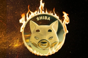 Shiba artacak mı? Shibarium shiba haberleri Shib haberleri Shib yüzde kaç artacak?