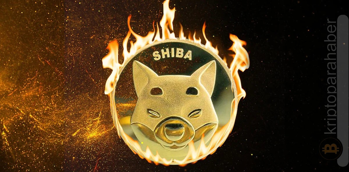 Shiba artacak mı? Shibarium shiba haberleri Shib haberleri Shib yüzde kaç artacak?