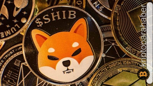 Piyasadaki belirsizlik Shiba Inu fiyatını etkilemedi! Yüzde 12’lik bir ralli kapıda olabilir