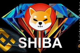 Binance, bu Shiba Inu ticaret çiftini listeden kaldırma kararı aldı!
