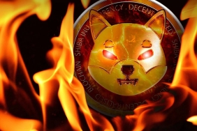 Bu hafta yaklaşık 2 milyar SHIB yakıldı ve fiyatı %2,36 arttı.