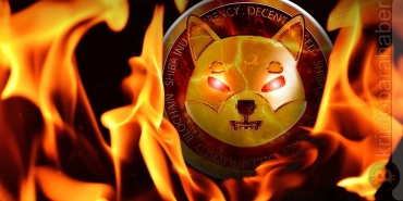 Bu hafta yaklaşık 2 milyar SHIB yakıldı ve fiyatı %2,36 arttı.