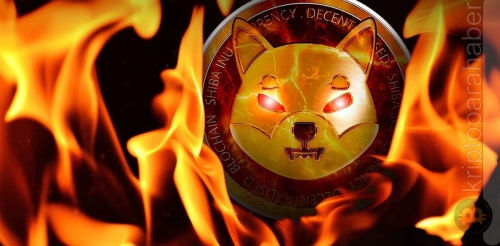 2 Milyara yakın Shiba yakıldı, SHIB fiyatı yüzde 2.36 arttı!