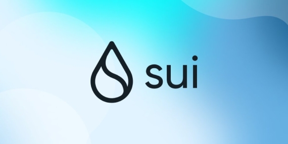Sui nft projeleri nedir, sui nft, sui nedir, sui nft al