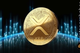 Ripple SEC davasındaki son gelişme XRP fiyatını yükseltti! Varlık geri mi dönüyor?