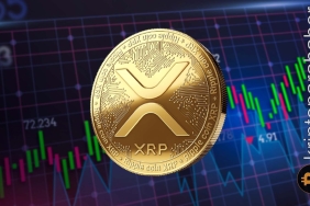 Kripto piyasasında belirsizlik sürüyor: XRP düşerken balinalar harekete geçti