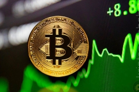 Bitcoin 31.000 dolar oldu, bitcoin neden yükseliyor, bitcoin 31.000 dolar, bitcoin boğa sezonu, bitcoin boğa mı geldi, bitcoin yükselecek mi?