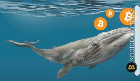 Balinalardan şaşırtıcı Bitcoin hamlesi! Bu hareket, yakın gelecekte fiyatı yükseltebilir mi?
