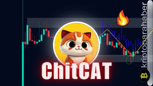 Kedi temalı bu meme coin yüzde 35 arttı: Dogecoin’in mirasını geçebilir mi?